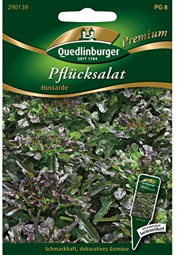 Quedlinburger Saatgut Pflücksalat, Cerbiatta/Hussarde Samen