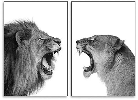 Jianghu Art Löwe und Löwin Leinwandbild für Wohnzimmer – Leinwand Gemälde Schwarz Weiß Tier Wandkunst Poster Drucken Wohnkultur Wandbild 30x50cm(12x20in) x2 mit Rahmen