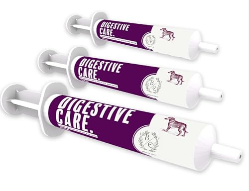 Vet Quality Advanced Pet Pre & Probiotic Paste - Fast Acting Support For Dogs & Cats - Diarrhoea - Digestive Upset - Bacterial Gut Imbalance - Firms Loose Stools – 60ml Syringe (Pack of 1)