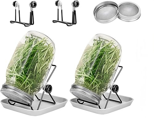 2 Set 1000ml Sprossenglas Keimglas Keimgläser für Sprossen Sprouting Jar mit Edelstahl Filterdeckel, Ständer und Auffangschale, Keimglas für Brokkoli, Alfalfa, Kresse, Einsteiger Set für Microgreens