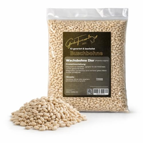 Gelbe Buschbohne Samen (Wachs), fadenlose, Inhalt 250g, Gemüsesamen für eine resistente Bohne mit bis zu 14 cm langen Hülsen (250g)