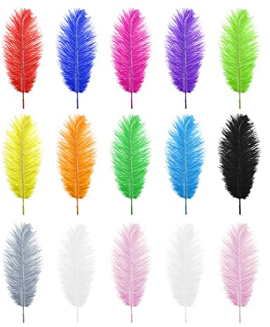 be in your mind 15pcs Plumes d'autruche Naturelles Mélangées Plumes Colorées 25-30cm pour Bricolage Artisanat Non Toxique Inodore Capteurs de Rêves Fête de Mariage Décoration de la Maison