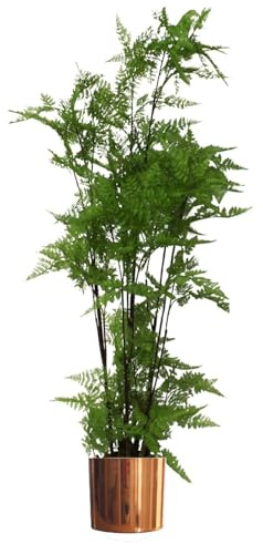 Leaf Artificial Realistic Natural Look Moss Fern in Pot