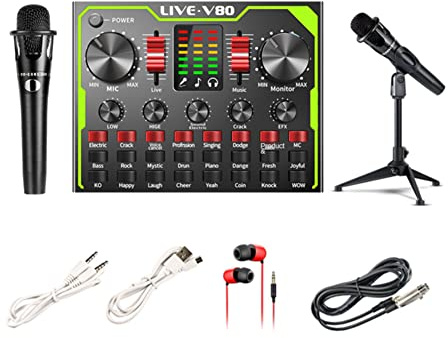 Guindxan Microfono E300 Fili Bluetooth per Live Streaming V80 Scheda Audio Professionale Studio Microfono a Condensatore (Treppiede)