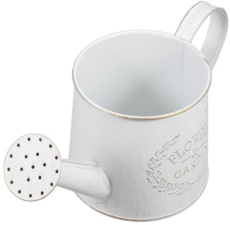 CIYODO Regadera Metálica para Plantas Interior y Exterior Regador Resistente De Hierro Galvanizado Práctico y Duradero para Jardinería Macetas y Casa