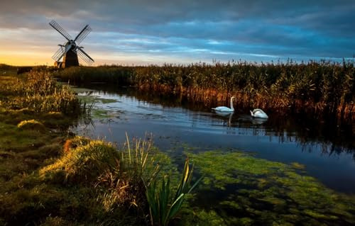 Genuine Puzzles. 1000 Piece Adult Puzzle, Wind Pump, Windmill, Landscapes 38x26CM