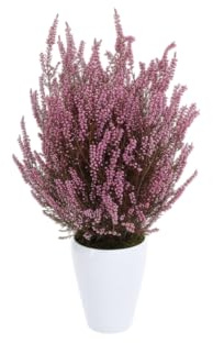 Brezo Natural Preservado – Decoración Floral Eterna sin Mantenimiento