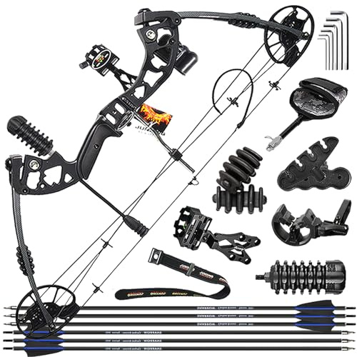 ZSHJGJR Kit Arc à Poulies de Chasse Arc Compound Adultes Arc composé Débutants 20 à 45 lbs 320fps Tir à l'arc Set Professionnel Arcs Compound Set Arc de Chasse Archery Compound Bow (Noir - Set 1)