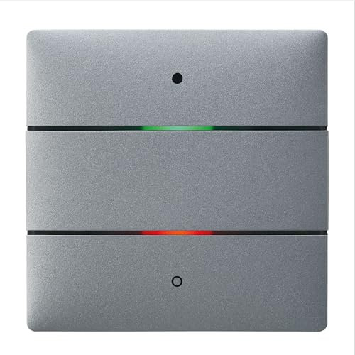 Theben 4802412 I LUXORliving iON2 SR I Tastsensor mit 2 Tasten in Silber I Für KNX Smart-Home System LUXORliving I integrierter Temperatursensor I Taster I Schalten/Dimmen/Jalousie
