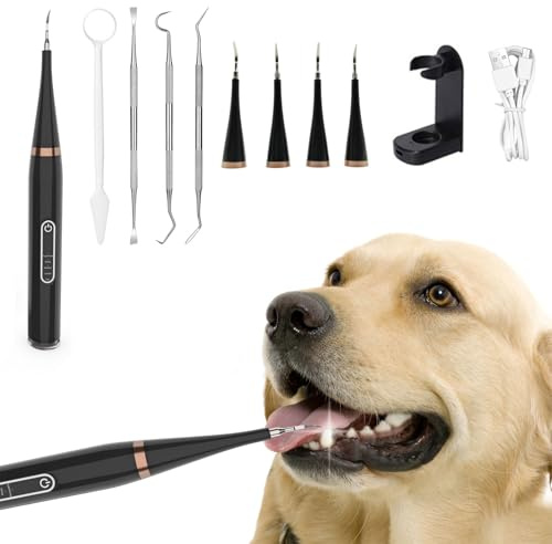 Zahnreiniger Ultraschall für Hund und Katze, Zahnreiniger für Haustiere, Zahnpflege Set, Zahnreinigung und Reinigungsset für Hunde Katze, 5 einstellbare Modi Hund Zahnreinigung Tools