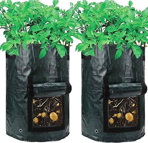 amgate Garten, Kartoffel wachsen Tasche Gemüse Übertopf mit Klappe für Ernte ~ Umweltfreundlich Wasserdichte PE ~ 35,6 cm Durchmesser x 45,7 cm Höhe