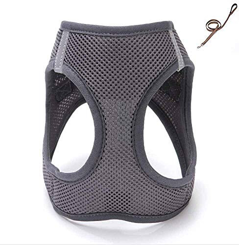 feiling Katzen-Geschirr Hundegeschirr Kleine Hund Atmungsaktiv Mesh Welpengeschirr Verstellbares Brustgeschirre Step-in Vest Reflektierende Softgeschirr mit 1,2M Hundeleine Set Führleine (S, Grau)