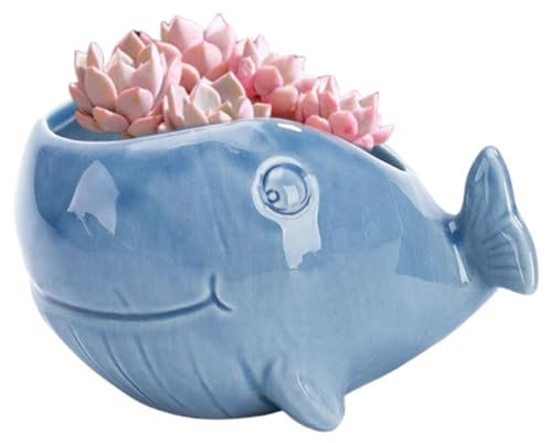 Hintyne Pot Succulent, 4,3x2,8x3 Pouces Ocean Fish Fish Céramique Fleur Coineurs avec Trou de Drainage, Porte-bonsaï de Bureau ornemental pour Plantes succulentes, Cactus ou Bougies 1