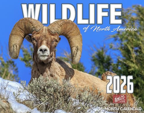 2026 Wildlife of North America Wall Calendar 16-Month X-Large Size 14x22, Sheep Bear Deer Moose Calendar by The KING Company-Monster Calendars