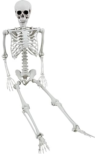 XONOR 165cm Halloween bewegliches Skelett Realistische menschliche Skelette Ganzkörperknochen mit beweglichen Gelenken für die Halloween-Dekoration