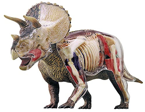 EXPLORA - Triceratops - Paläontologie - 546093 - Realistisches Modell aus 36 Teilen - Montageanleitung und Bildungsquiz - Dinosaurier - Entdeckungsset - Kinderspiel - Wissenschaftlich - Ab 8 Jahren