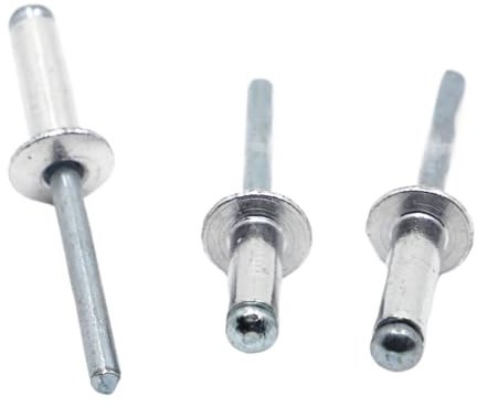 Aqxypas 10/20 Piezas M2.4 M3.2 M4 M5 M6 GB12618 Cabeza de Hongo de Aluminio, Mandril, Remaches Ciegos, Remache Pop for Muebles, Coches y Aviones(12mm)