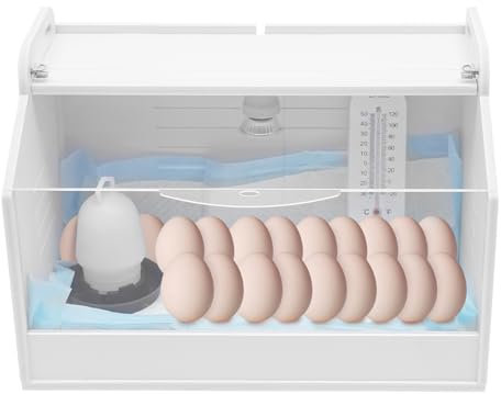 Brutinkubator Küken Aufzucht Box Küken Wärmeplatte Kükenheim Kükenwärmebox mit Thermometer & Wärme Lampe Aufzucht Reptilien Geflügel Inkubator