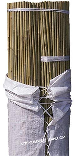 Suinga Lot de 500 Tuteur en Bambou 150 cm, 8-10 mm, Tubes en Bambou pour Plantes et Arbres, Baguettes de Bambou, Canne de Bambou, Tiges de Bambou, Supports pour Arbres