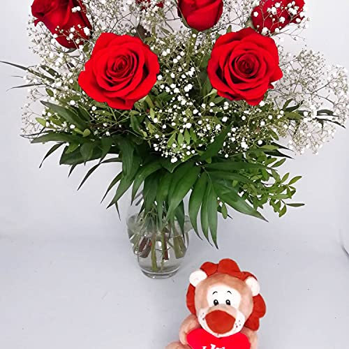 EL JARDÍ D´ESTHER - Ramo de flores naturales a domicilio - Flores frescas - Entrega gratis en 24 horas de Lunes a Sábado - Tarjeta dedicatoria - Amoroso - Rosas rojas y verdes