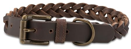 Fettleder Hunde Halsband geflochten – Robustes Lederhalsband aus Handarbeit – hochwertiges Büffel-Leder Halsband Clarissa (S (31.0-40.0cm))