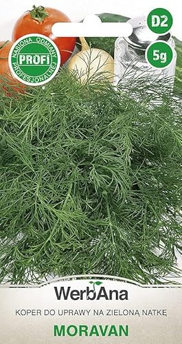 WegAna Semillas de Eneldo Semillas de Eneldo Moravan 5g Semillas de Hortalizas Robustas Semillas de Cultivo