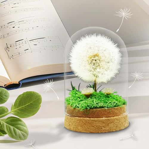 Tongyixin Realizzatore di Desideri Fiori di Campo in Vetro Decorazione Regalo di Compleanno per la Fidanzata Fiori di Campo in Vetro Decorazione Regalo per Natale, San Valentino, Matrimonio, Ragazza