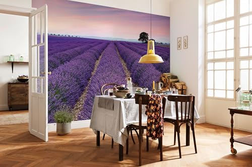 Komar X8-036 Fotomural, Lavanda, 4W x 2.6L m