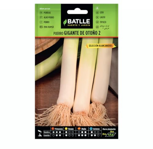 Semillas de Puerro Gigante de Otoño 2 sel. Blancanieves