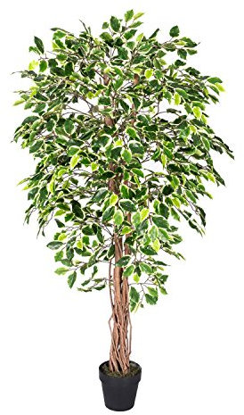 HOMESCAPES Künstlicher Ficus benjamini, 180 cm große grün-weiße Birkenfeige im Topf, realistische Blätter und Echtholz-Stamm – Kunstpflanzen wie echt
