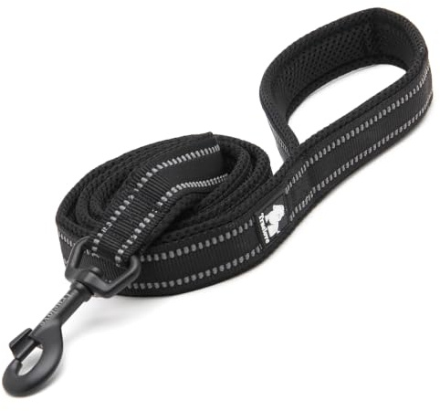 Truelove Reflective Padded Nylon Dog Training Lead, Black, M(100cm) | Alloy Swivel Hook, Ergonomic Padded Grip, Tear Resistant Webbing, Reflective Night Strap, All Dog Breeds, Walking & Training