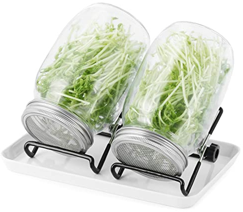 Ribbsturs-set | set om 2, 1 000 ml grodd glas med lock och hållare och skal | Ribborna för groddar och grobarhet av frön
