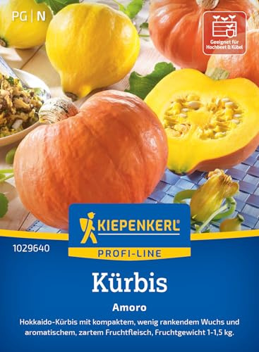 Kiepenkerl Kürbissamen Amoro 1029640, Gemüsesaat | Aromatisch, zartes Fruchtfleisch, Gewicht 1-1,5 kg, für Beet, Hochbeet & Freiland