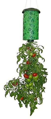Corldif Hanging Tomato Plant,Container,Accessories,Vegetable Grower,Upside Down Plant Holder Pot Hanging Sky