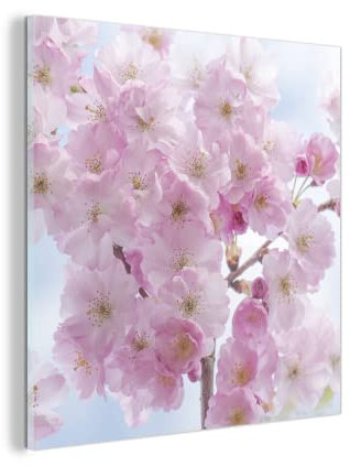 MuchoWow Glasbild Glasfoto Wandbild Bilder Deko 50x50 cm Blüte - Kirschbaum - Frühling