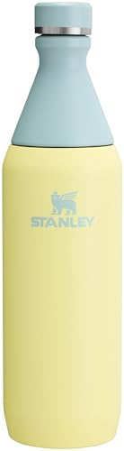 Stanley All Day Slim Bottle 20 oz | Twist On Lid with Leakproof Seal | Slim Design for Travel & Gym | Insulated Stainless Steel | BPA-Free | Pomelo