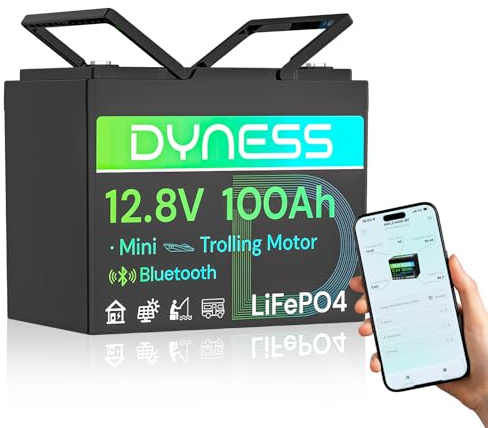 Dyness 12V 100Ah LiFePO4 Lithium Battery with Bluetooth, Group 24,Max.1280Wh Energy, Built-in 100A BMS with Low-Temp Protection, Perfect for Trolling Motor RV,Boat, Solar System