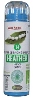 KOSMEO B Fleur de Bach N° 14 Bruyère Granules sans Alcool Renforcé par Chromothérapie