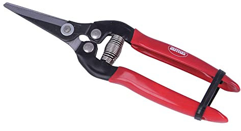 Amig - Forbice da Potatura a Una Mano | Speciale per Raccolta | Lama Dritta in Acciaio | 185 mm | Manico Antiscivolo | Punta Curva per Tagliare Fiori, Raccolta di Frutta e Vendemmia