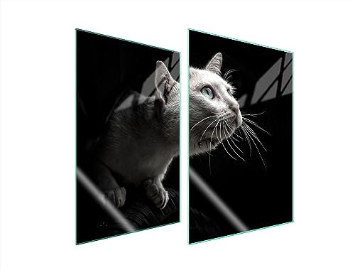 TMK ArtDeko Herdabdeckplatten 2 Teilig 2x35x52 cm Ceranfeldabdeckung Küche Induktion Herdschutz Spritzschutz Glasplatte Schneidebrett, Katze