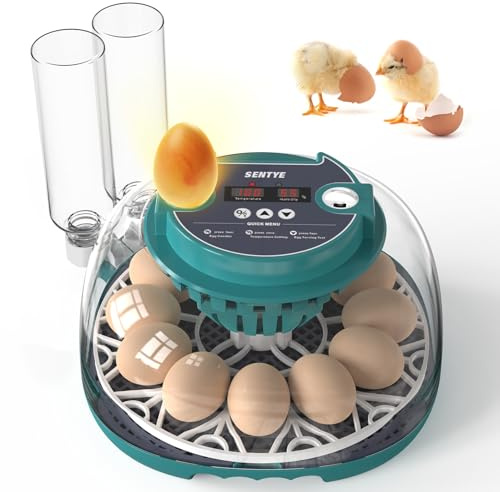 Automatic Egg Incubator for Hatching Eggs with LED Temperature Display, Humidity Control & Egg Turner, Clear Lid Incubator for Chicken, Quail & Bird Eggs (12 Egg Capacity)