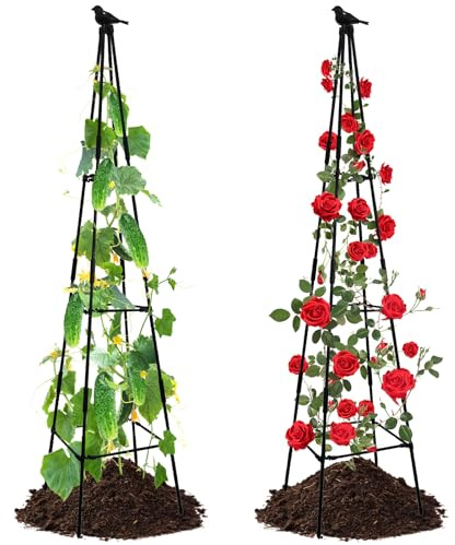 Lalahoni Lot de 2 Treillis de Jardin pour Plantes grimpantes d'extérieur et d'intérieur | 170,2 cm de Haut | Treillis obélisque de Jardin, léger, Noir