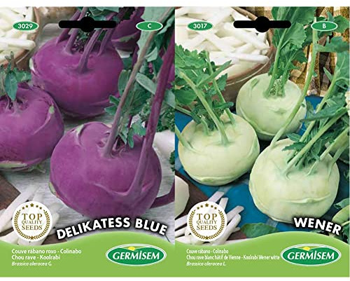 Germisem Kohlrabi DELIKATESS, mehrfarbig, EC3029 & Kohlrabi WENER WHITE EC3017 mehrfarbig
