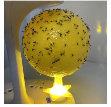 4pcs Sticky Fly Trap, Yellow Fruit Fly Catcher, Indoor Insect Sticky Balls, Reusable Suction Cup Design