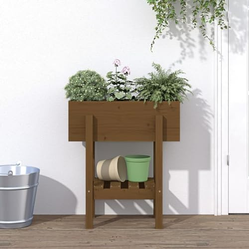 ShGaxin Jardinière Marron Miel 62x30x69 cm Bois Massif de pin,Jardiniere sur Pieds,Bac avec Treillis,Jardiniere Terrasse