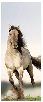 Türtapete selbstklebend Pferd TürPoster 3D Bewirken Fototapete Türfolie Poster Tapete Abnehmbar Wandtapete für Wohnzimmer Küche Schlafzimmer 77X200CM