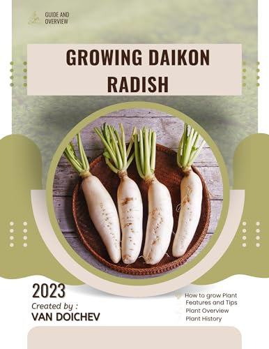 Growing Daikon Radish: Guide and overview