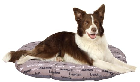FERPLAST - Cuccia per cani e gatti - Cuscino per cani di grandi dimensioni - Materassino per cani - Tappetino per cucce e auto - Morbido letto per cani - Relax, 85 x 55 CM, MARRONE
