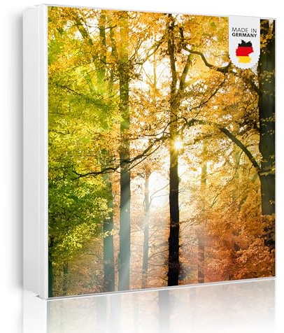 banjado Großer Schlüsselkasten Metall - Schlüsselbox 30x30cm beschreibbarer mit 32 Haken - Schlüsselkasten modern für Schlüsselaufbewahrung - Korpus Weiß Scharnier Links - Motiv Herbstwald