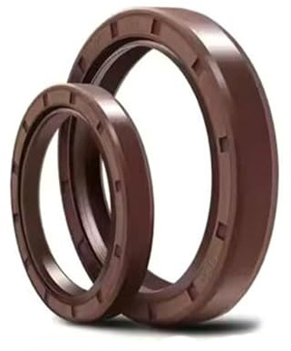 2 Stück FKM TC Wellendichtringe Innendurchmesser 48mm Außendurchmesser 62mm Dicke 8mm Fluorkautschuk Doppellippendichtungen mit Federn, FKM 48 x 62 x 8 mm